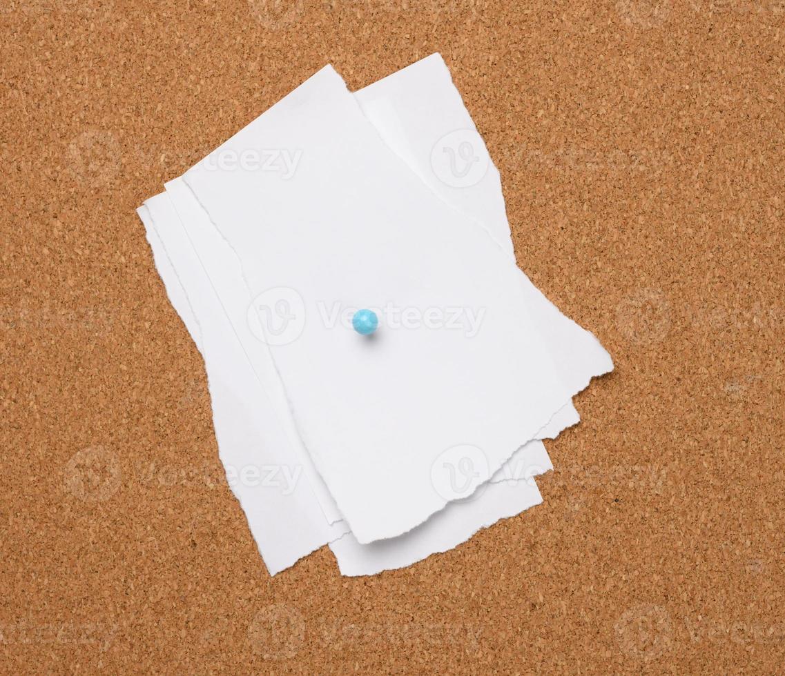 torn white blank white sheet of paper affixed with a plastic button on a brown cork board photo