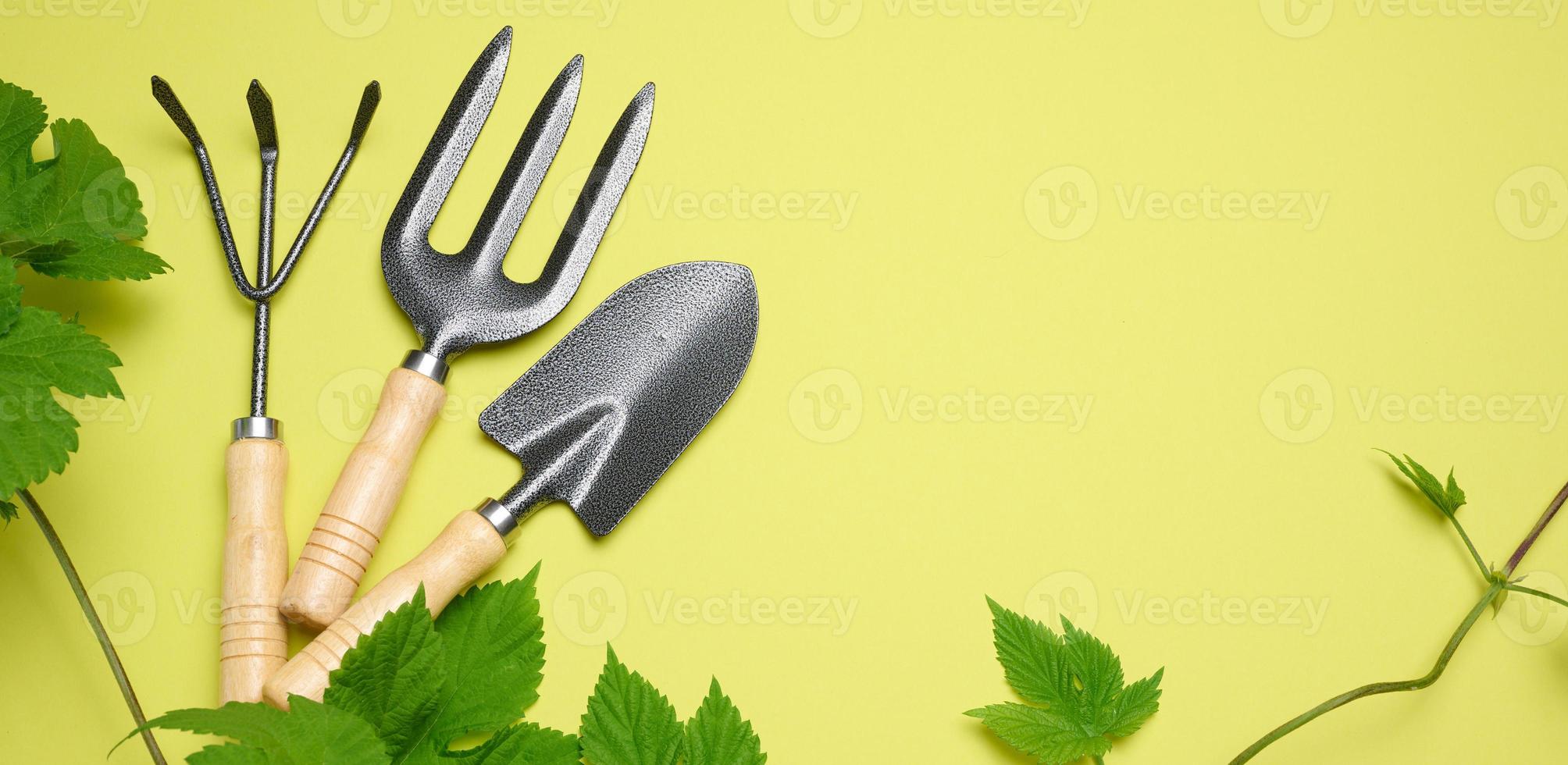 Garden tools for processing beds in the garden on a green background photo