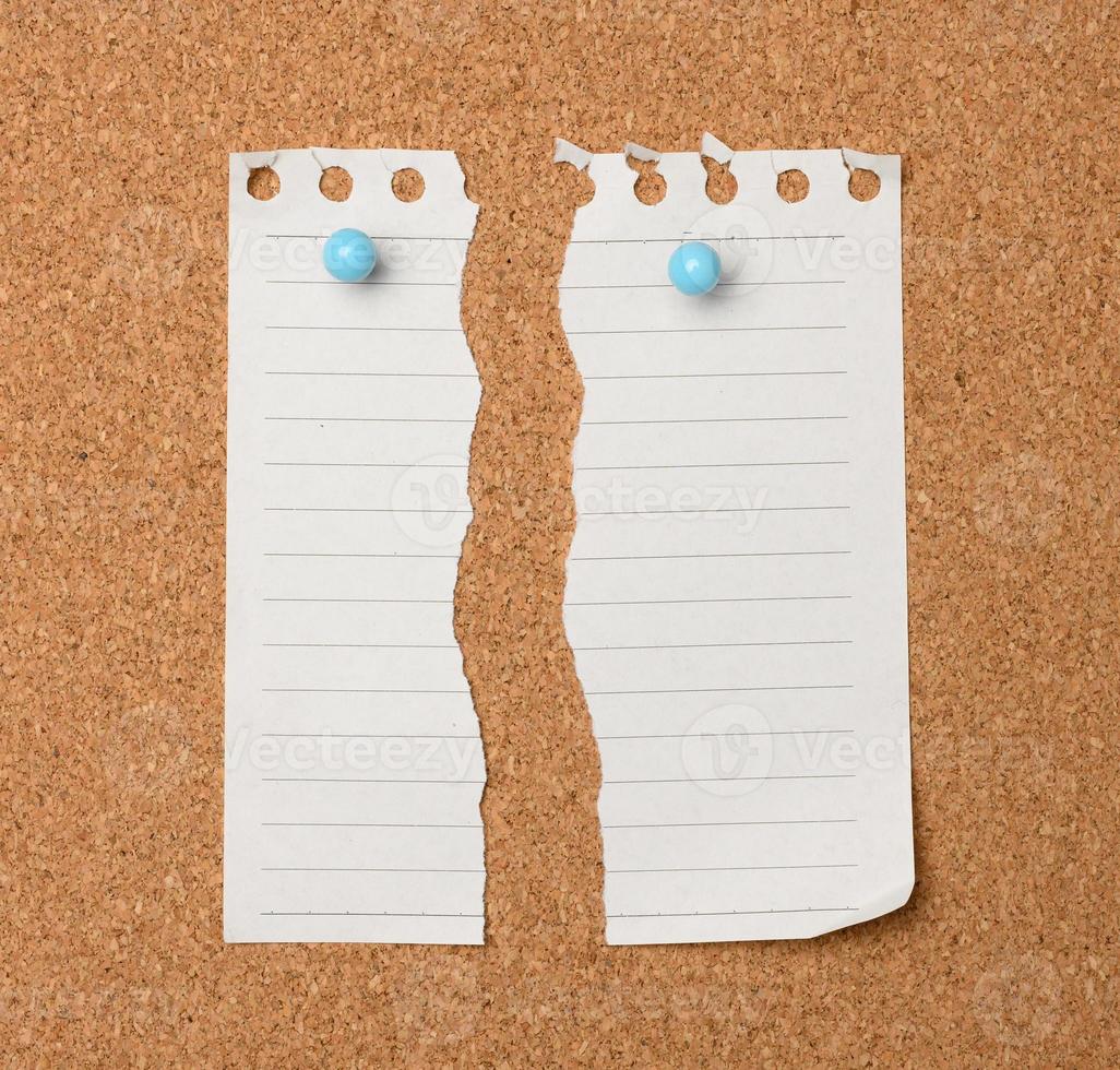 torn sheet of white paper in a line hanging on a brown cork board photo