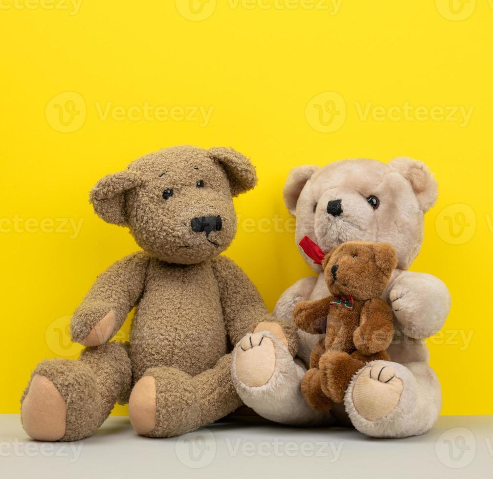 teddy bears sitting on a yellow background photo