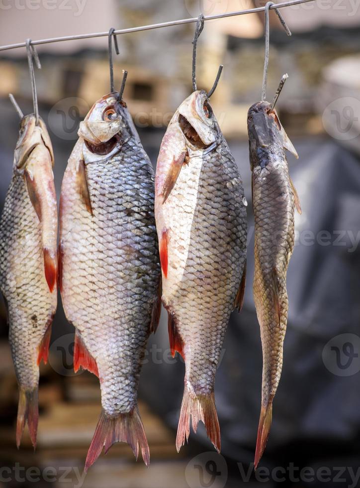 fish ramming in scales hanging on an iron hook photo