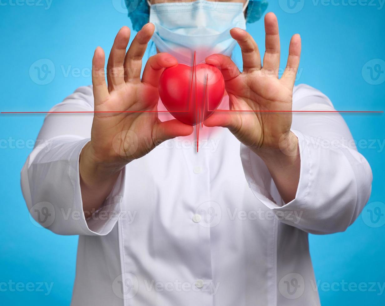 doctor in a white medical coat holding a red heart. Cardiovascular disease concept, early diagnosis. Blue background photo