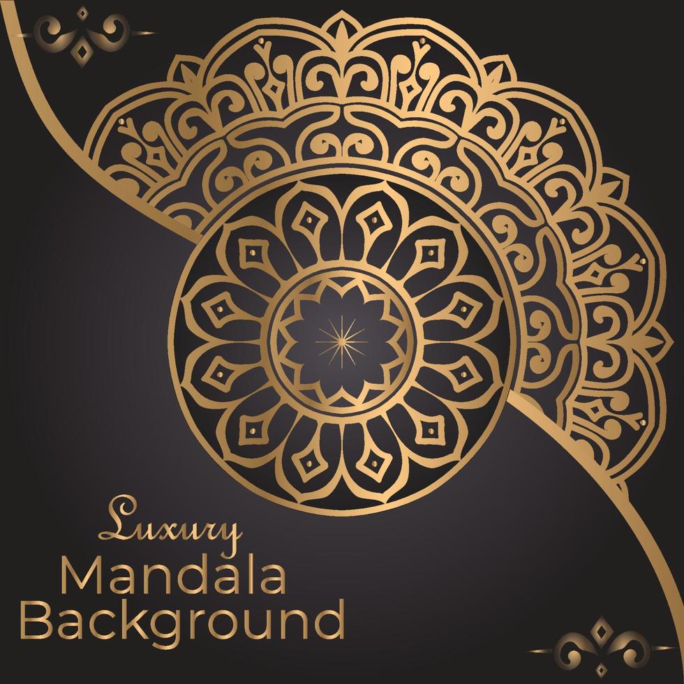 Luxury mandala background design vector