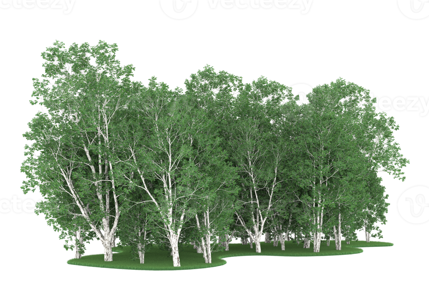 Realistic forest isolated on transparent background. 3d rendering - illustration png