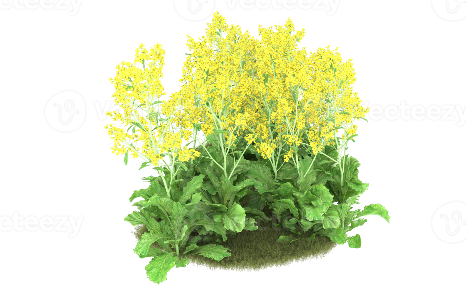 Realistic foliage isolated on transparent background. 3d rendering - illustration png