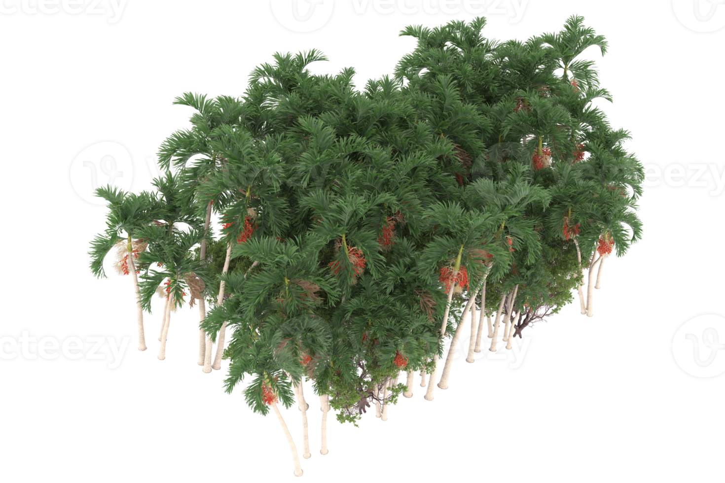 Palm trees isolated on transparent background. 3d rendering - illustration png