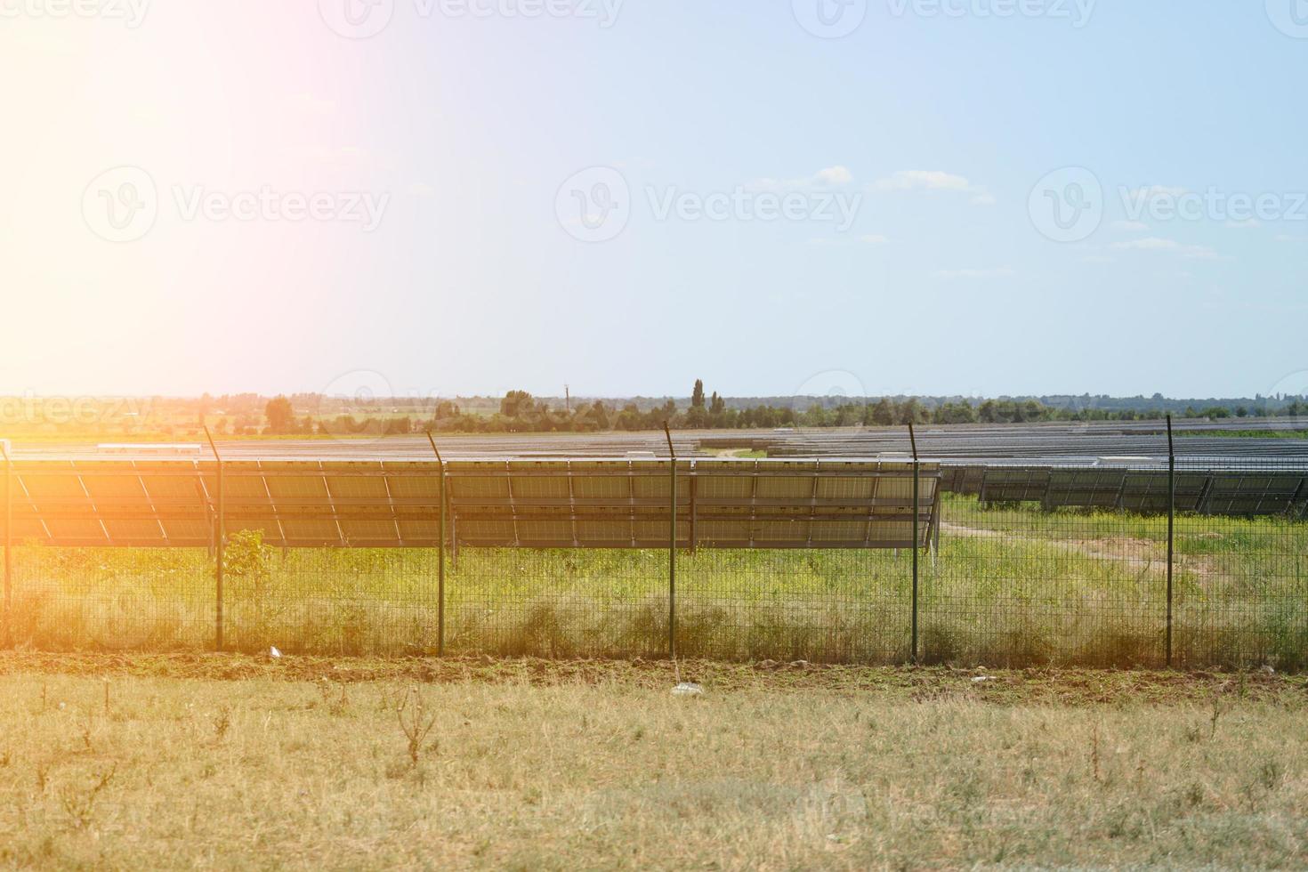 solar panels in the middle of a field on a sunny day, Ukraine photo