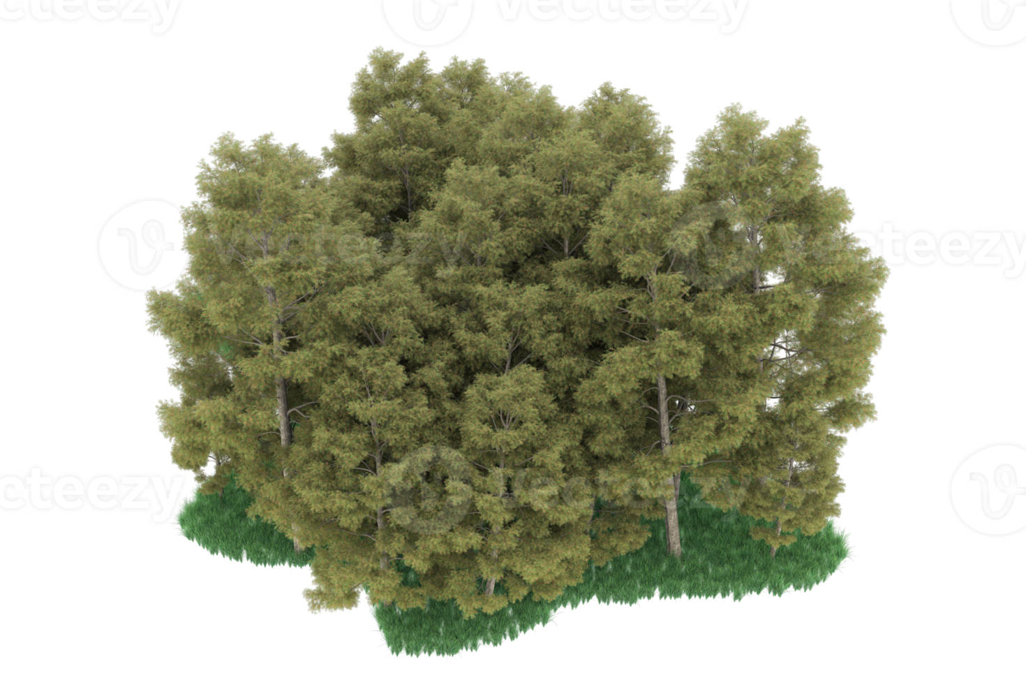 Realistic forest isolated on transparent background. 3d rendering - illustration png