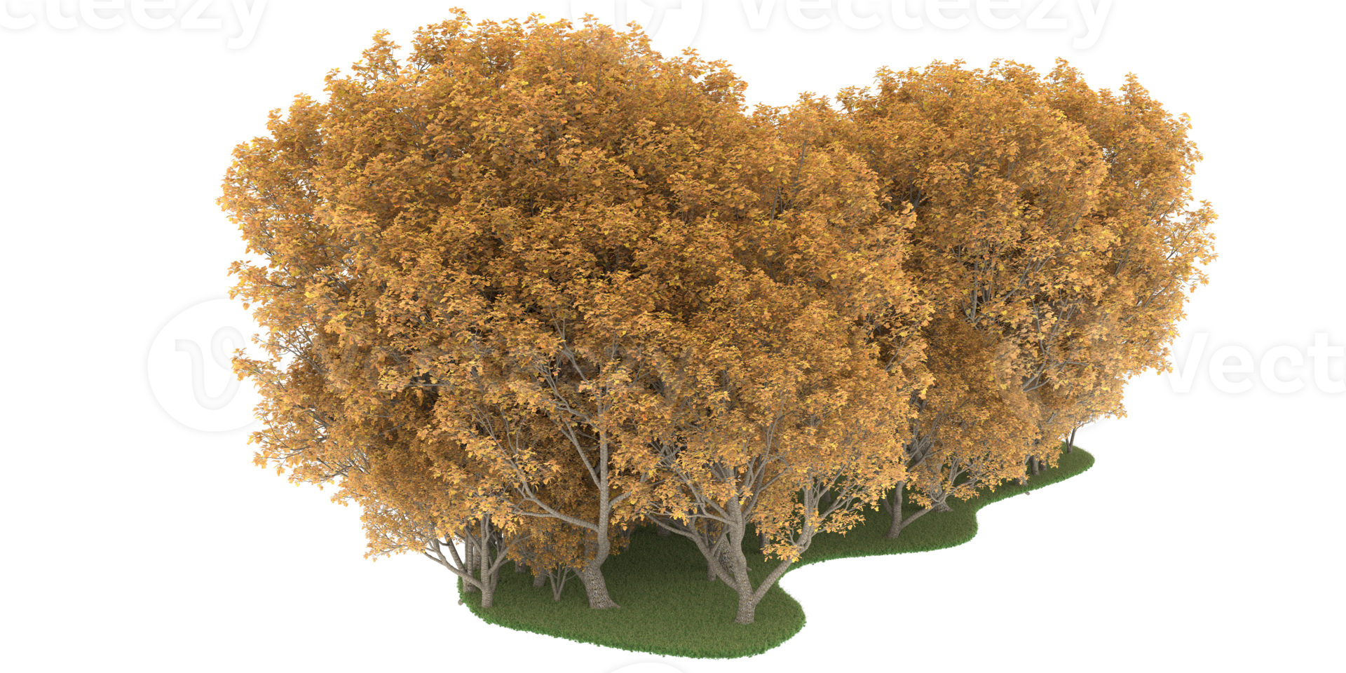 Realistic forest isolated on transparent background. 3d rendering - illustration png