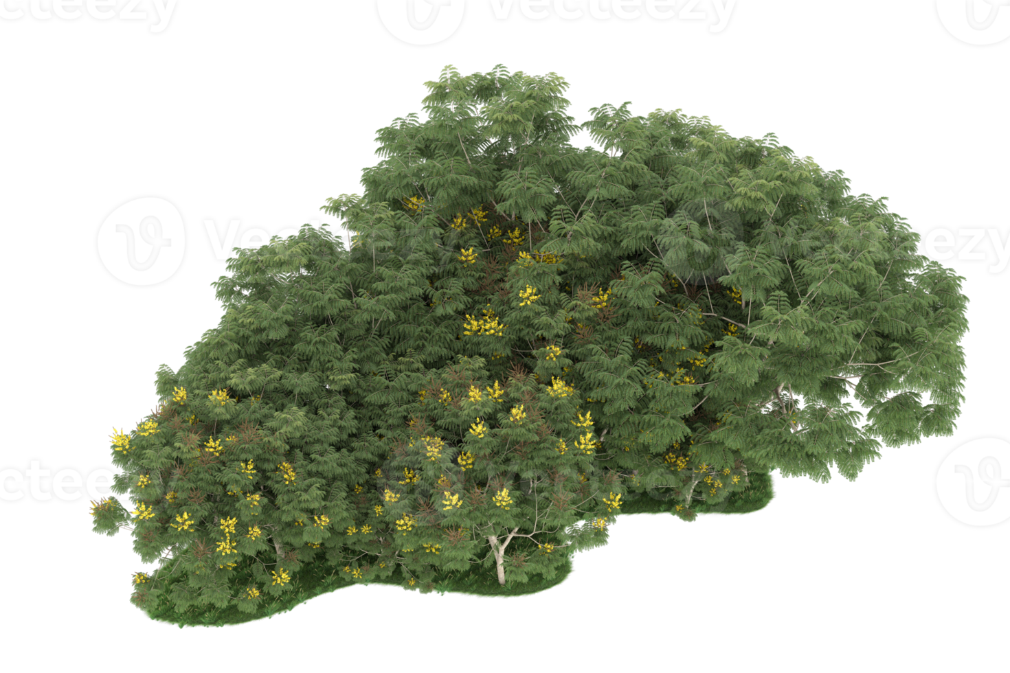Realistic forest isolated on transparent background. 3d rendering - illustration png