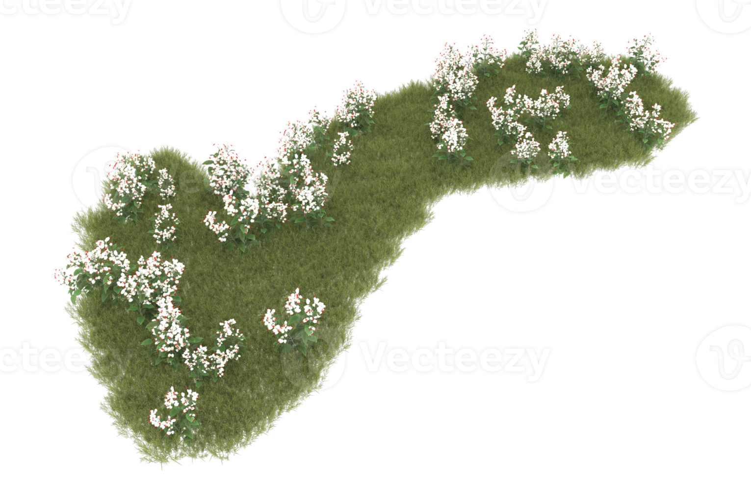 realistico fogliame isolato su trasparente sfondo. 3d interpretazione - illustrazione png