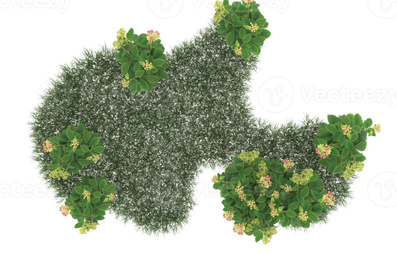 Realistic foliage isolated on transparent background. 3d rendering - illustration png