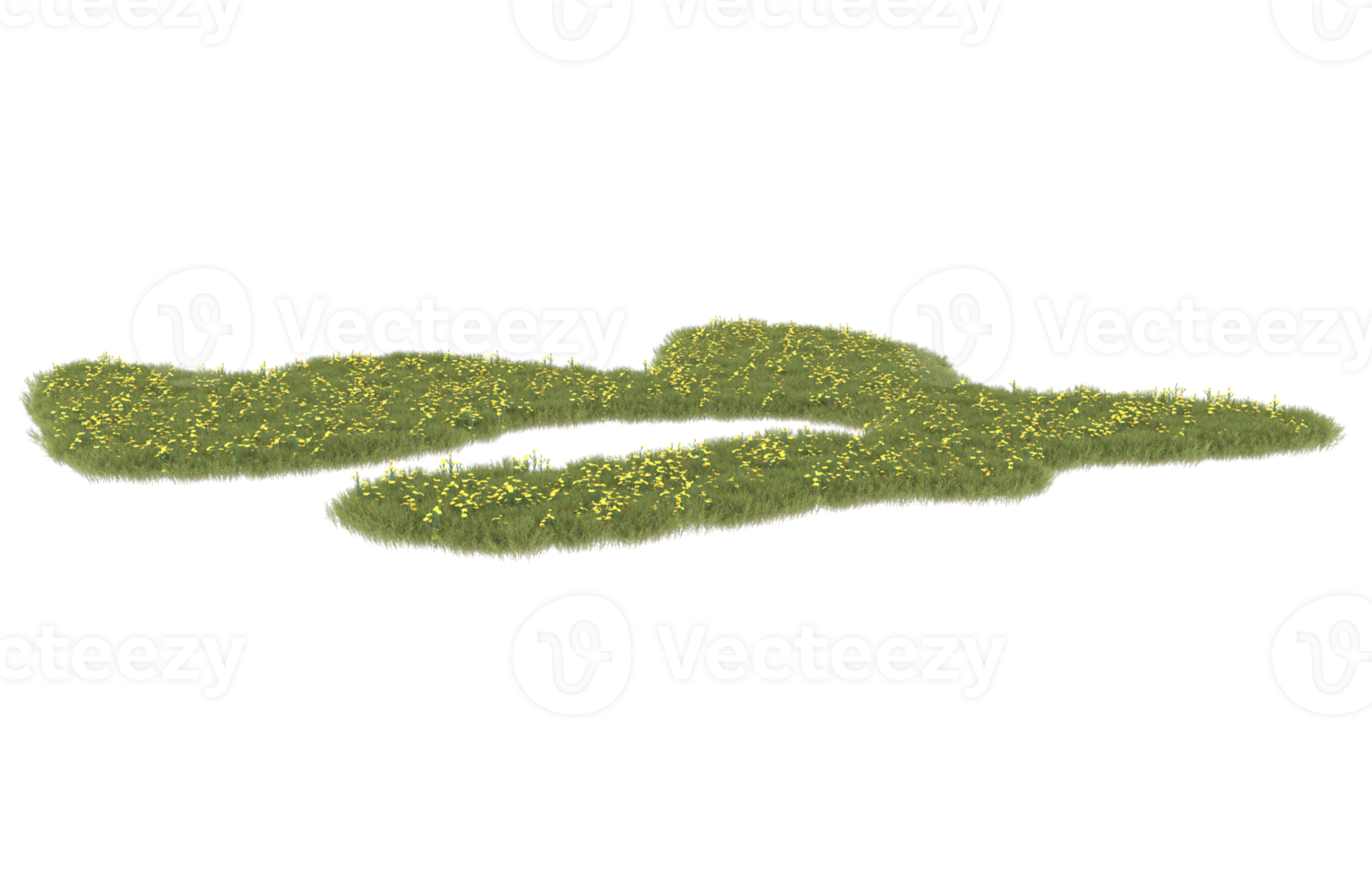 realistisk lövverk isolerat på transparent bakgrund. 3d tolkning - illustration png