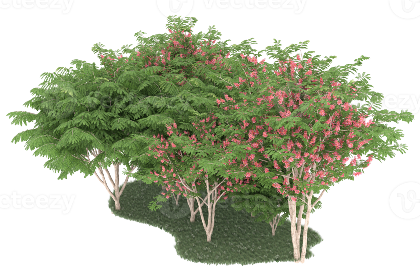 Realistic forest isolated on transparent background. 3d rendering - illustration png