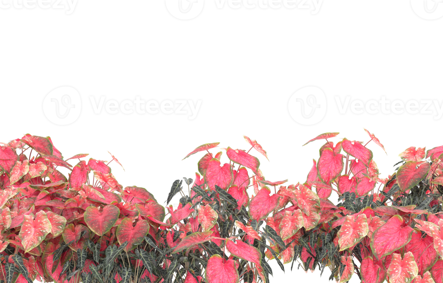 Realistic foliage isolated on transparent background. 3d rendering - illustration png