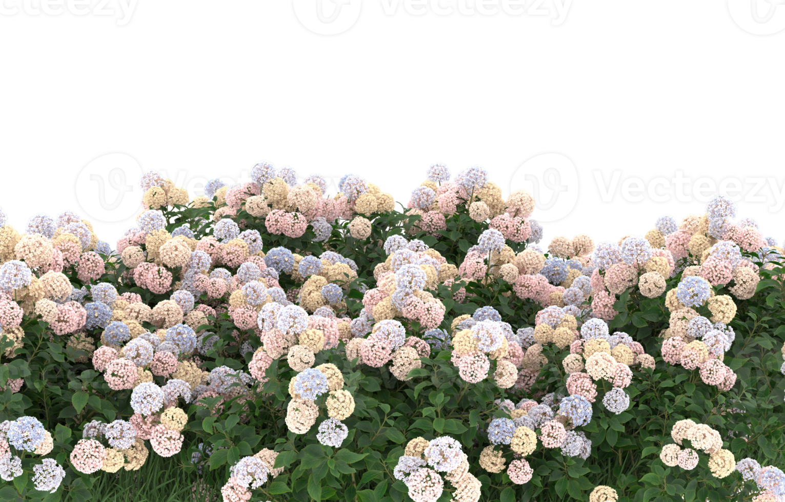 Realistic foliage isolated on transparent background. 3d rendering - illustration png