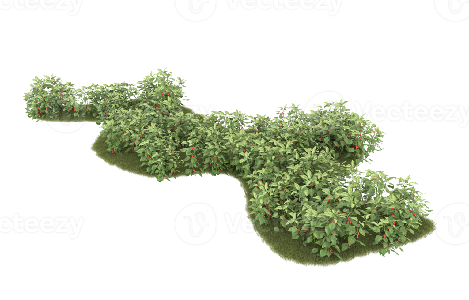 Realistic foliage isolated on transparent background. 3d rendering - illustration png