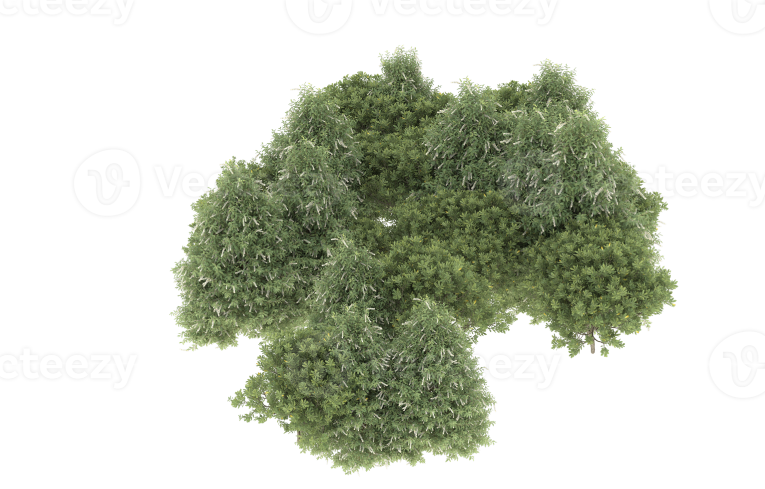 Realistic foliage isolated on transparent background. 3d rendering - illustration png