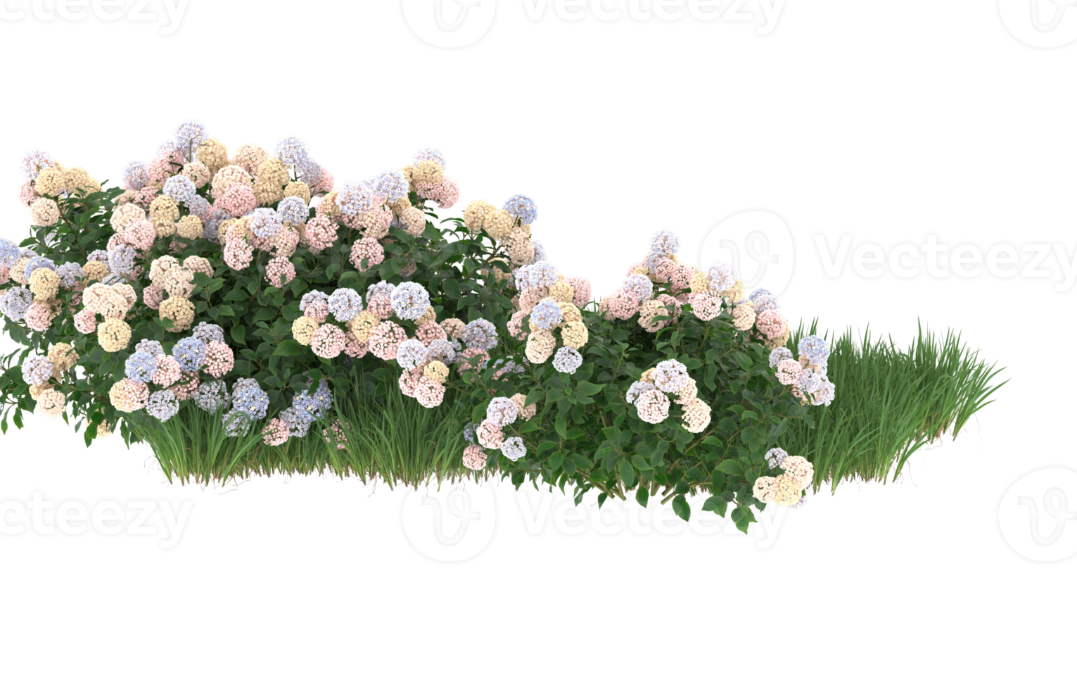 Realistic foliage isolated on transparent background. 3d rendering - illustration png