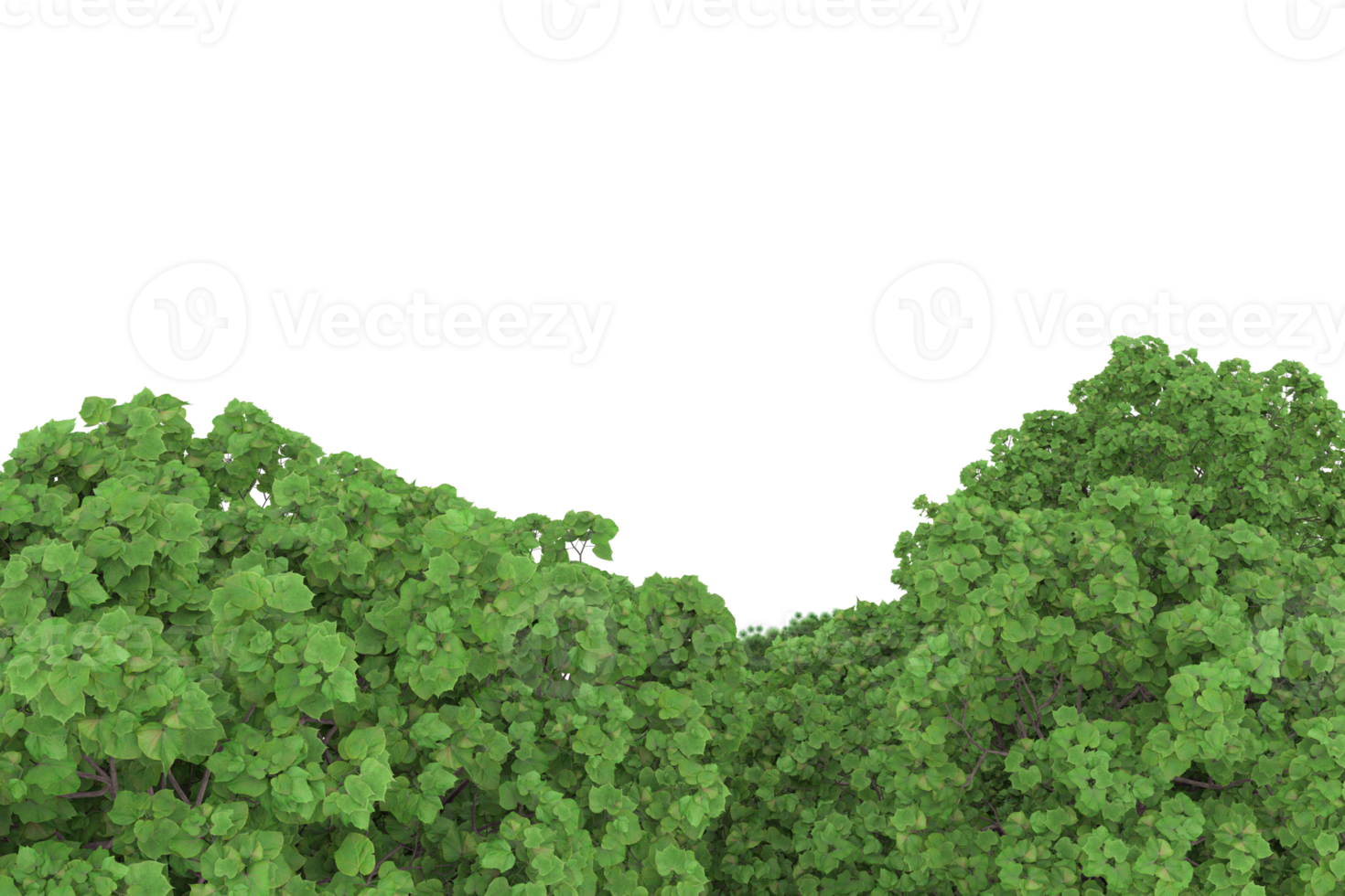 Realistic forest isolated on transparent background. 3d rendering - illustration png