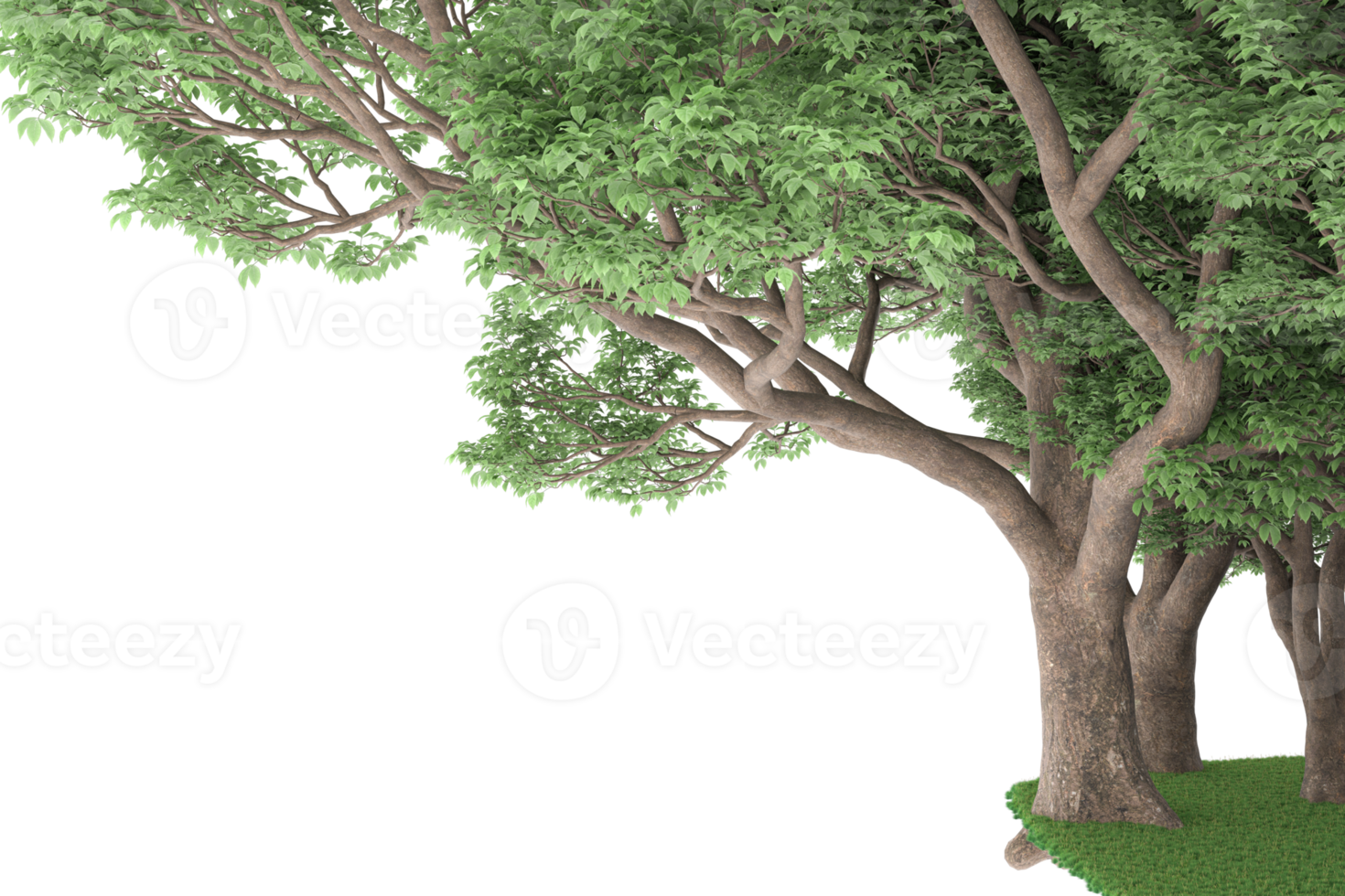 Realistic forest isolated on transparent background. 3d rendering - illustration png