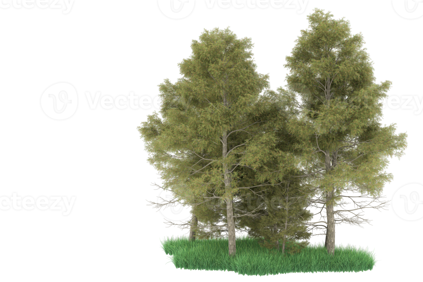 Realistic forest isolated on transparent background. 3d rendering - illustration png