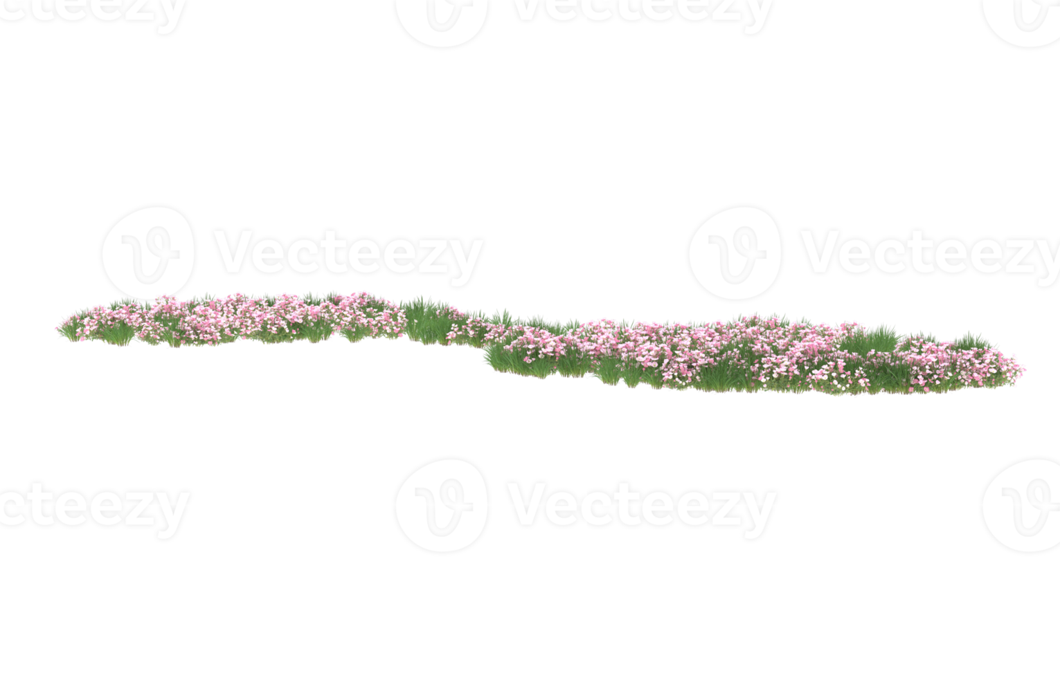 Realistic foliage isolated on transparent background. 3d rendering - illustration png