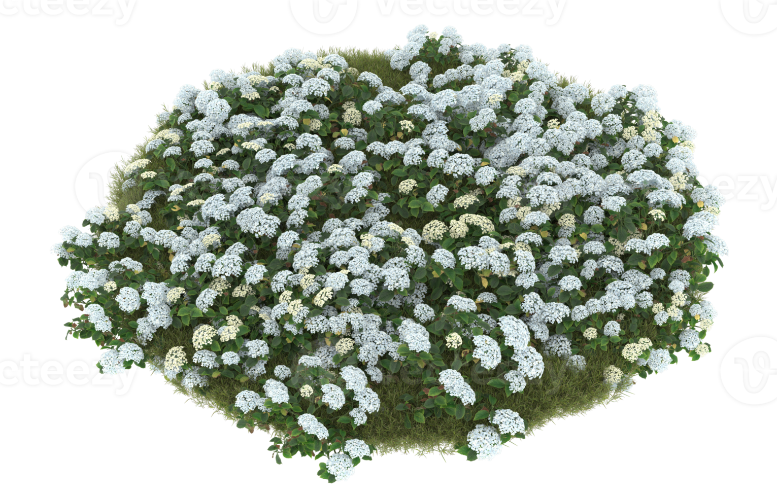 Realistic foliage isolated on transparent background. 3d rendering - illustration png