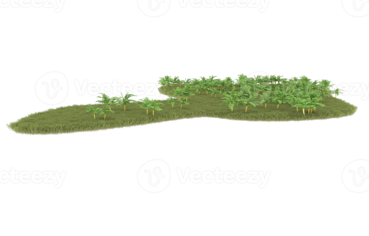 realistisk lövverk isolerat på transparent bakgrund. 3d tolkning - illustration png