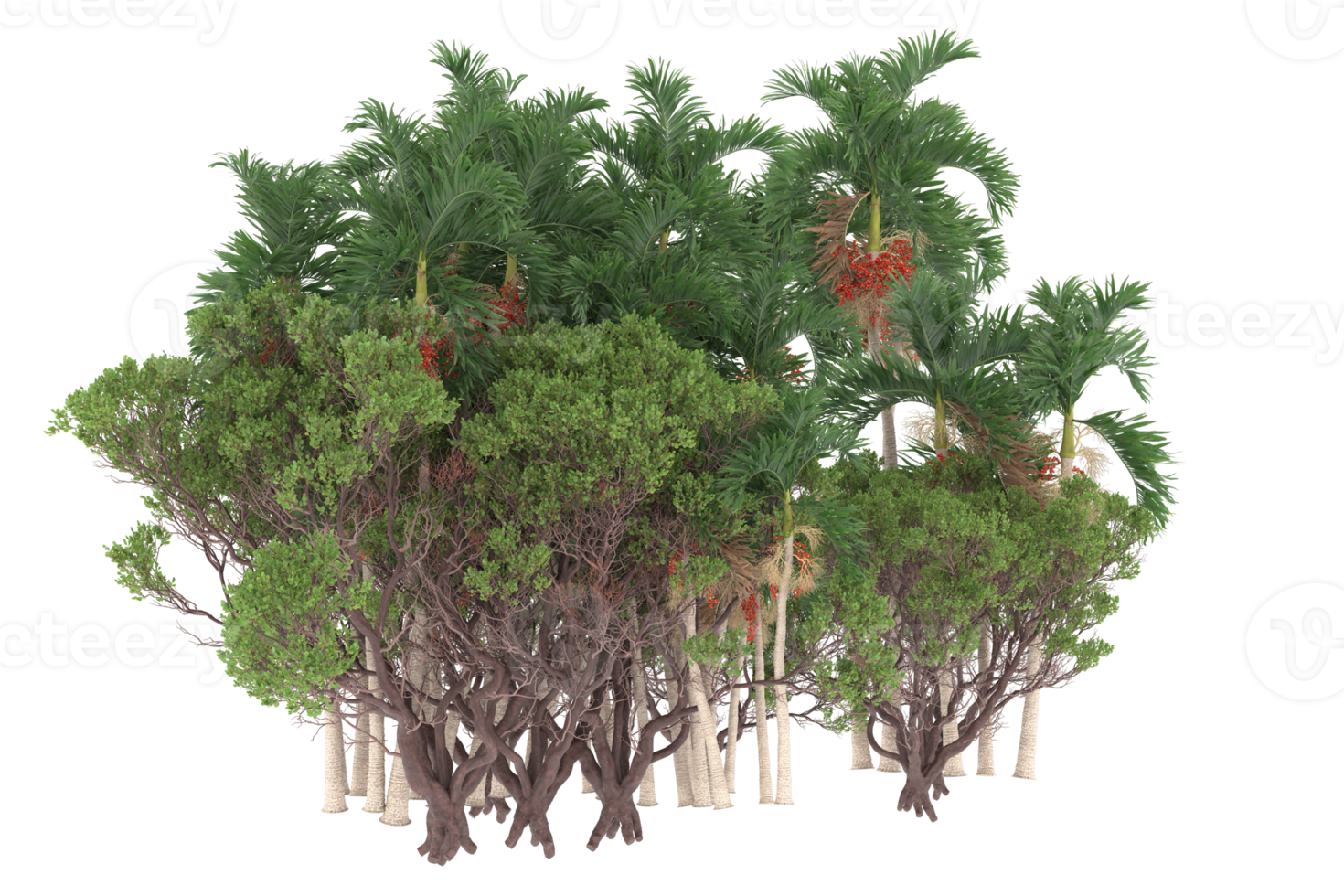 Palm trees isolated on transparent background. 3d rendering - illustration png