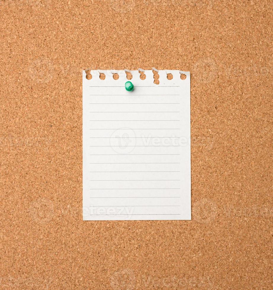 blank sheet of paper pinned by button on brown balsa board photo