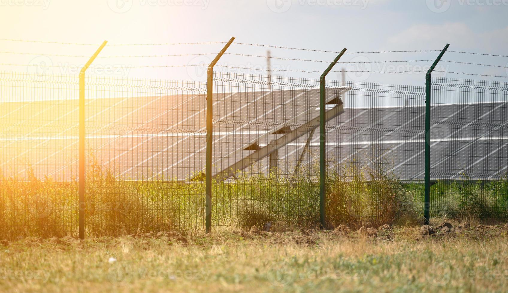 solar panels in the middle of a field on a sunny day, Ukraine photo