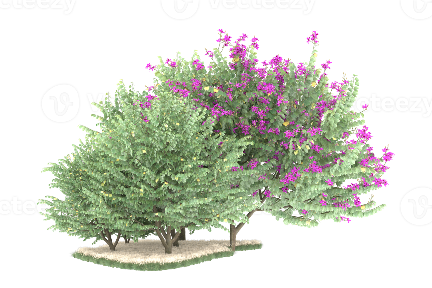 Realistic forest isolated on transparent background. 3d rendering - illustration png