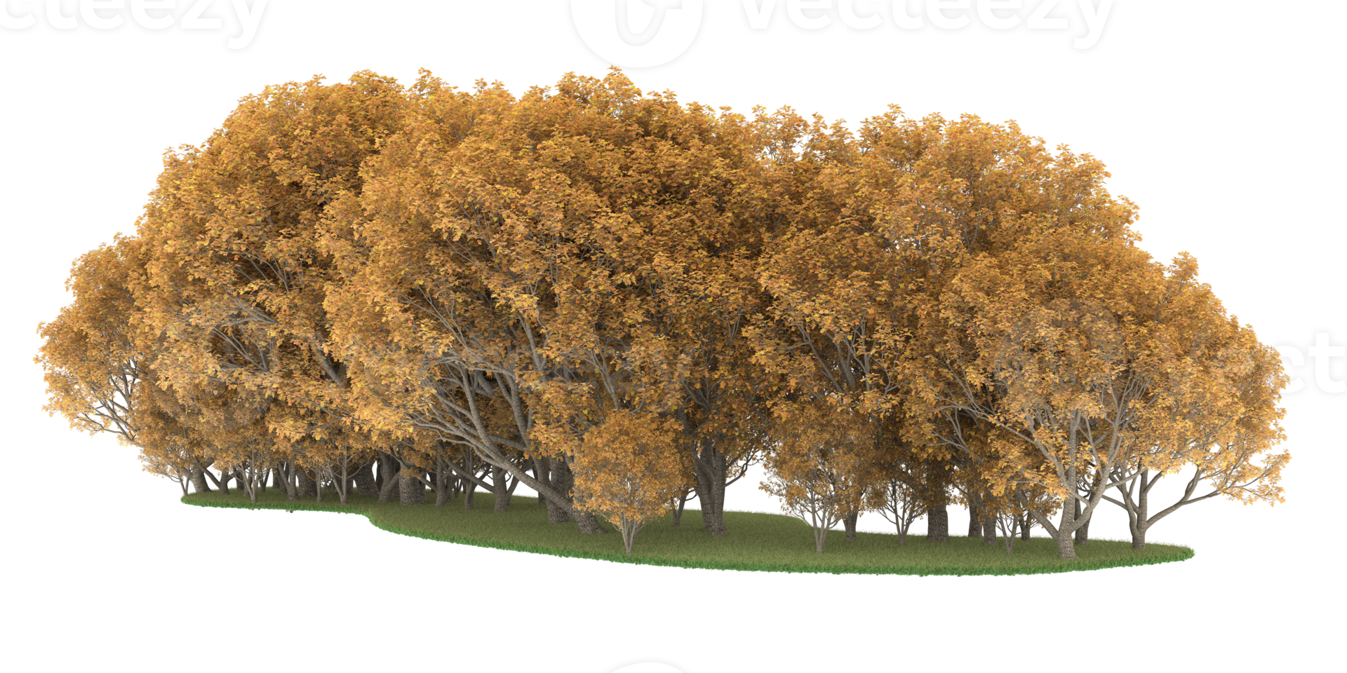 Realistic forest isolated on transparent background. 3d rendering - illustration png