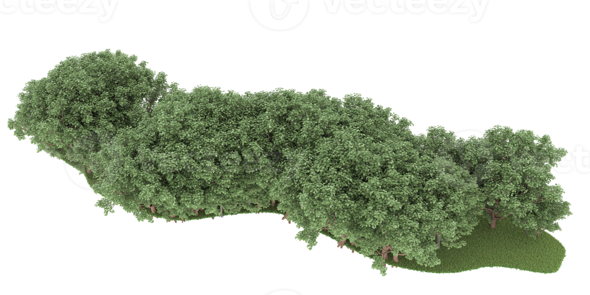 Realistic forest isolated on transparent background. 3d rendering - illustration png