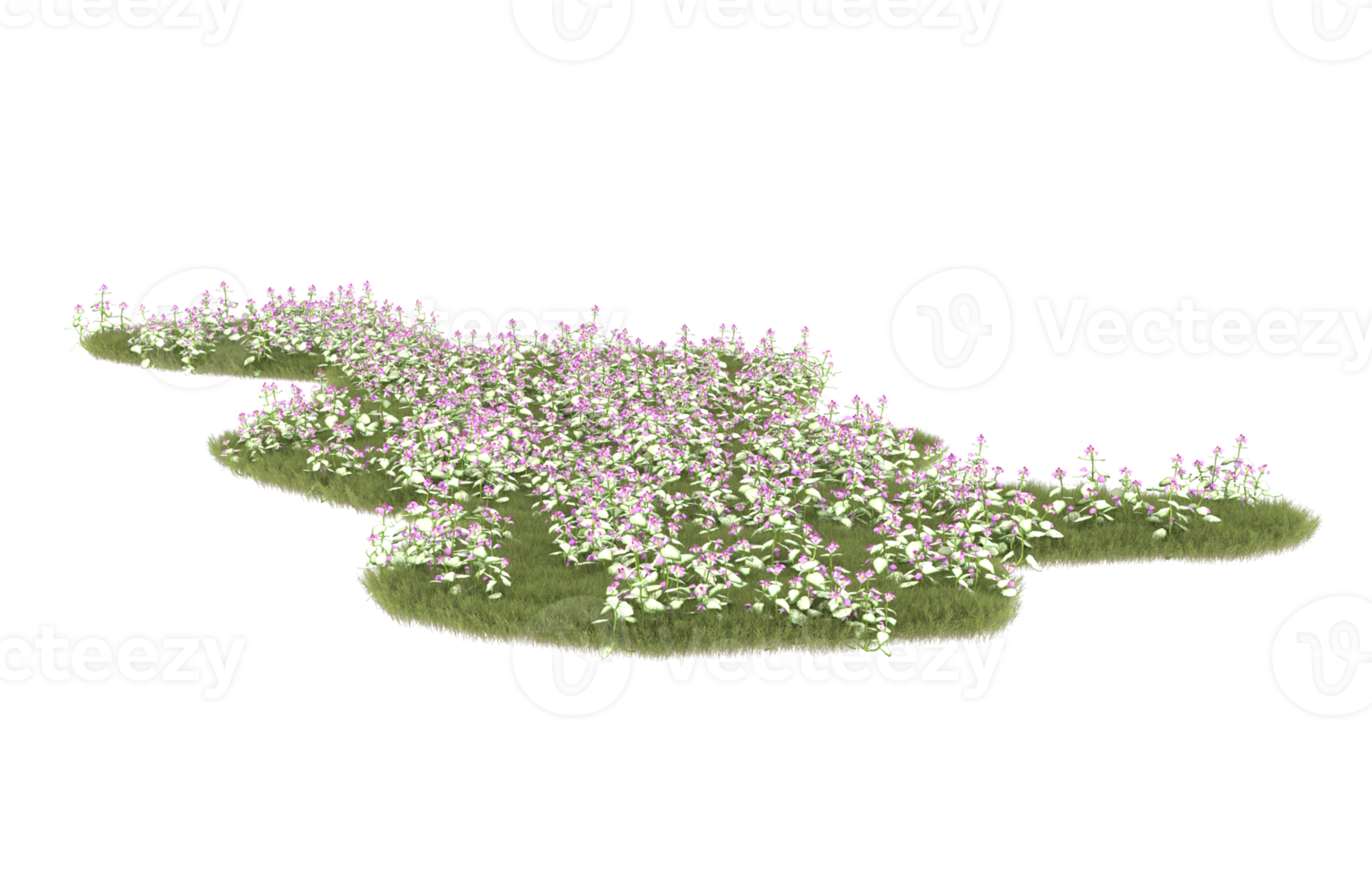 Realistic foliage isolated on transparent background. 3d rendering - illustration png