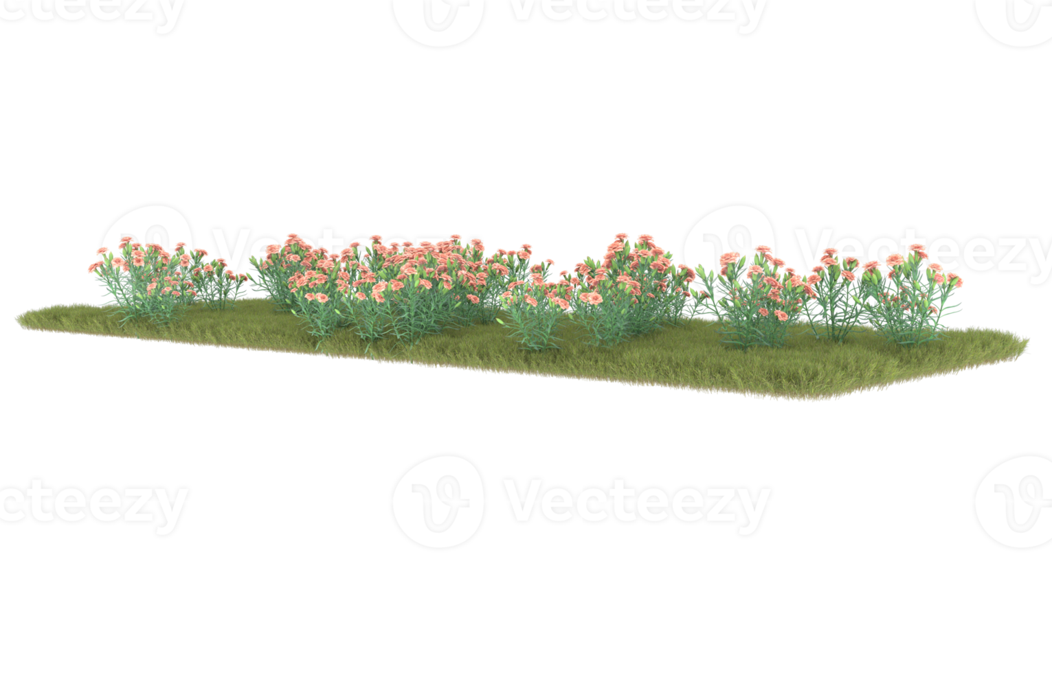 Realistic foliage isolated on transparent background. 3d rendering - illustration png