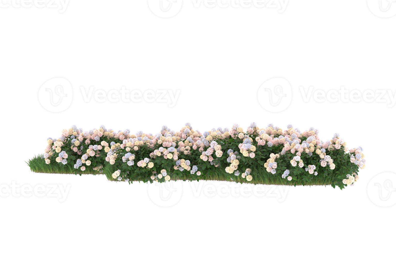 Realistic foliage isolated on transparent background. 3d rendering - illustration png