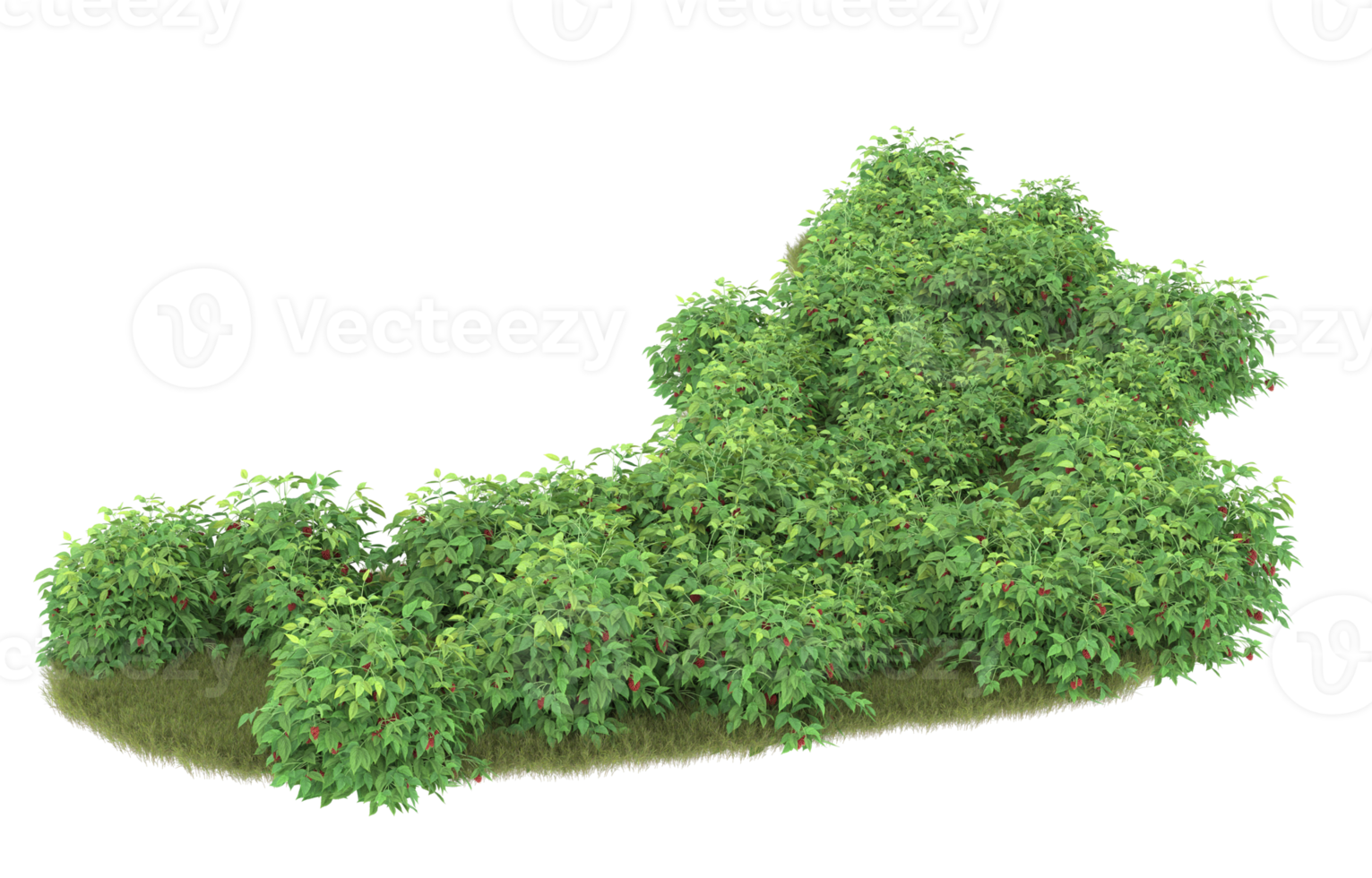 Realistic foliage isolated on transparent background. 3d rendering - illustration png
