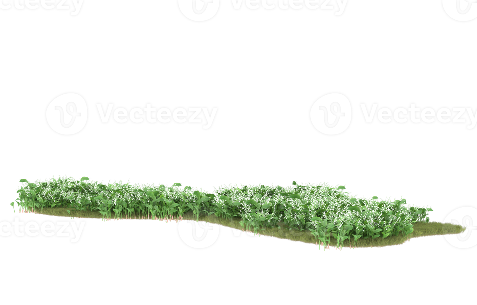 realistisk lövverk isolerat på transparent bakgrund. 3d tolkning - illustration png