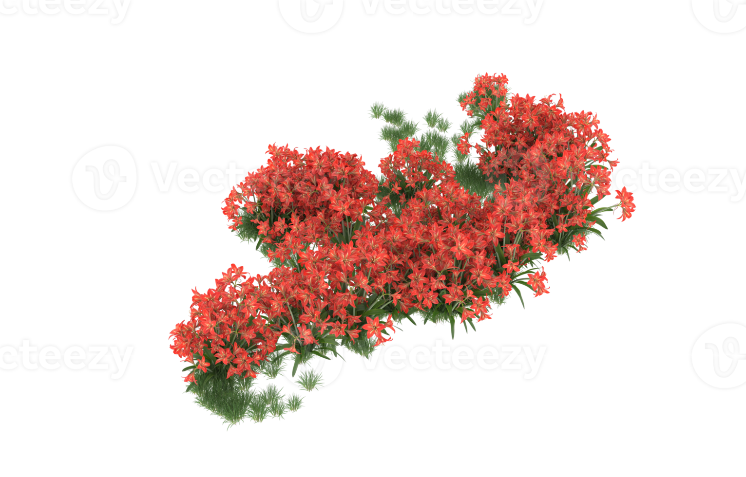 realistisk lövverk isolerat på transparent bakgrund. 3d tolkning - illustration png