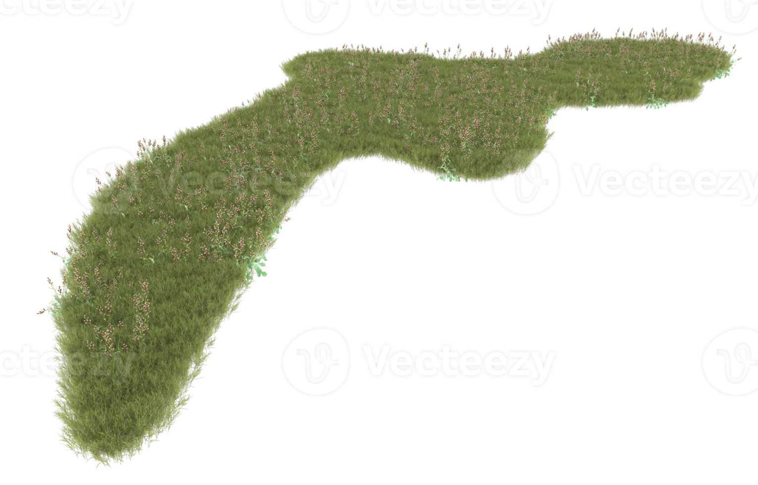 realistico fogliame isolato su trasparente sfondo. 3d interpretazione - illustrazione png