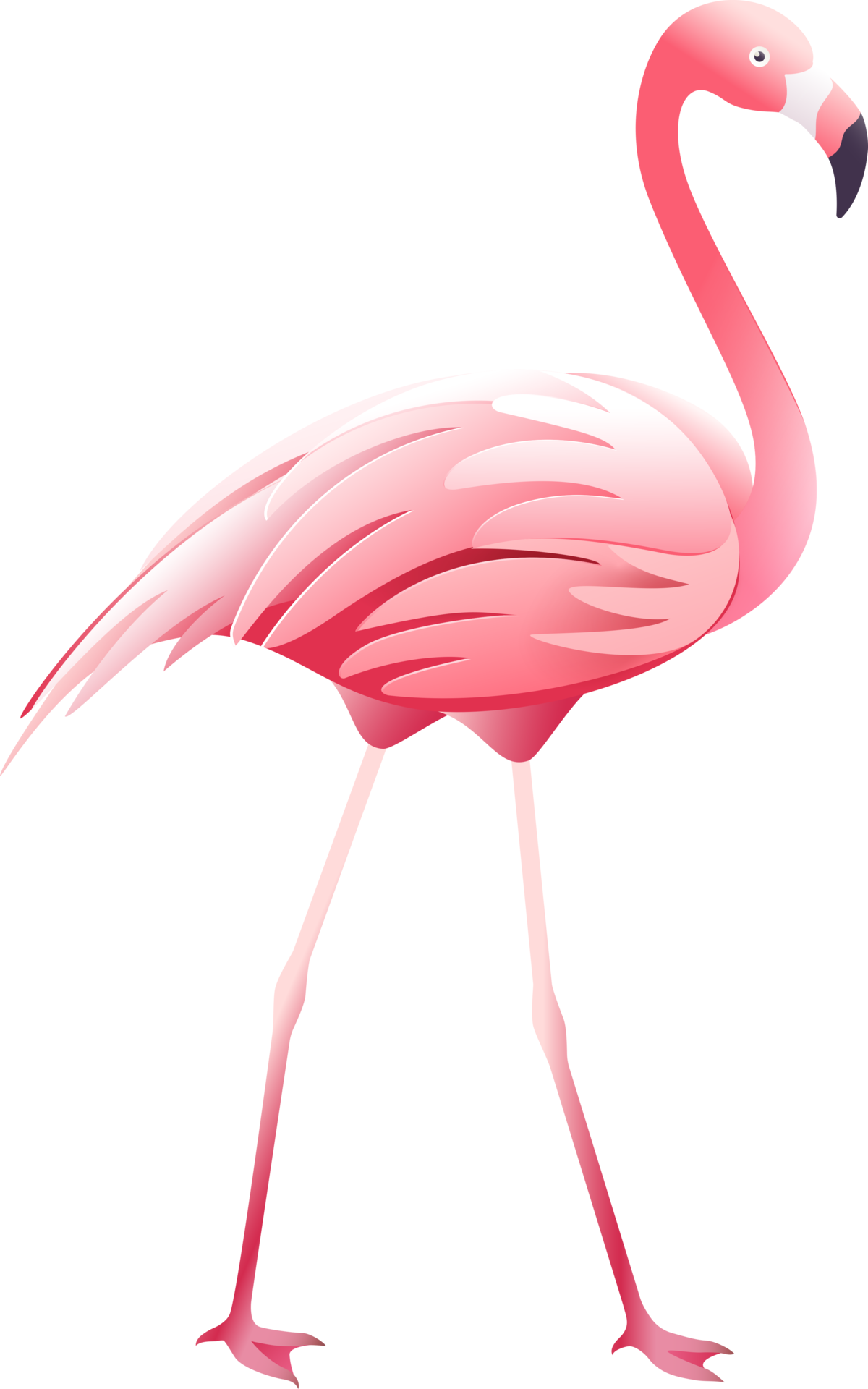 The Complete Guide To Pink Flamingo Meanings (Urban Dictionary & Beyond) - gidpnxo