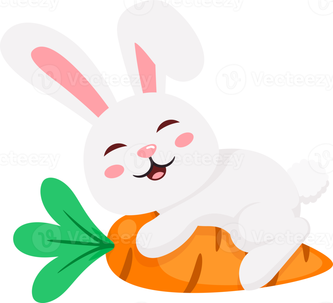 easter bunny rabbit and eggs png