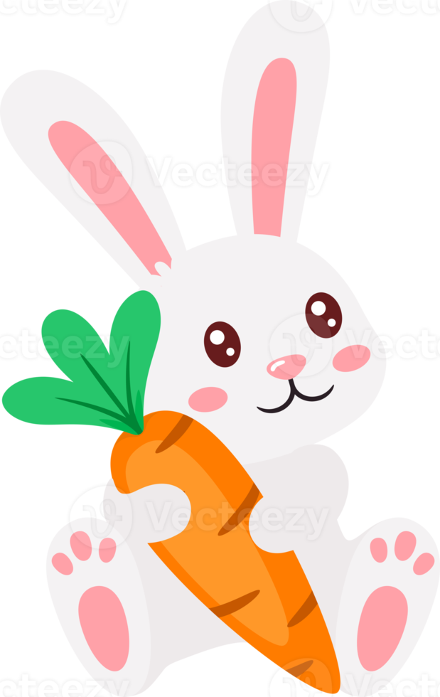 easter bunny rabbit and eggs png