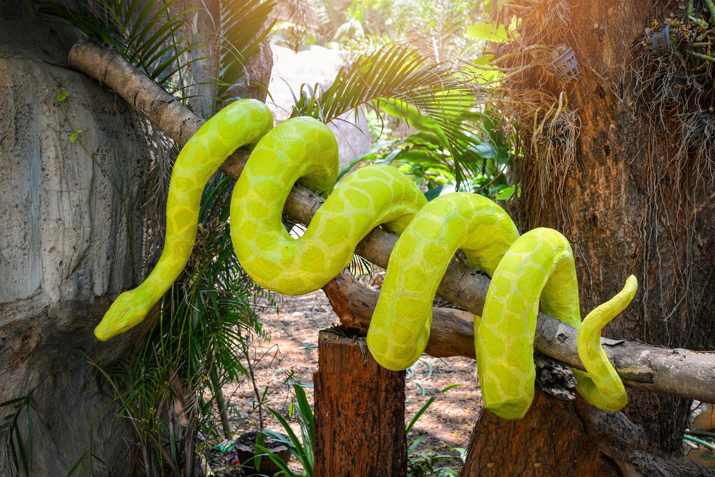 boa snake statue the big green boa on tree branch on nature park photo