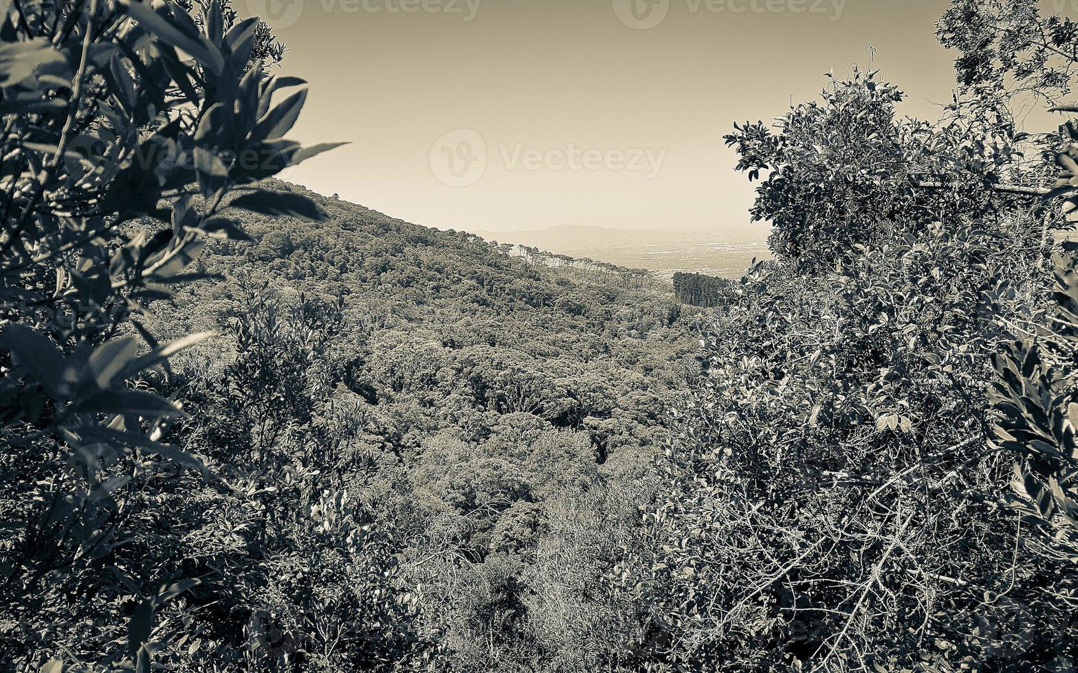 View from Table Mountain in Cape Town to Claremont. photo