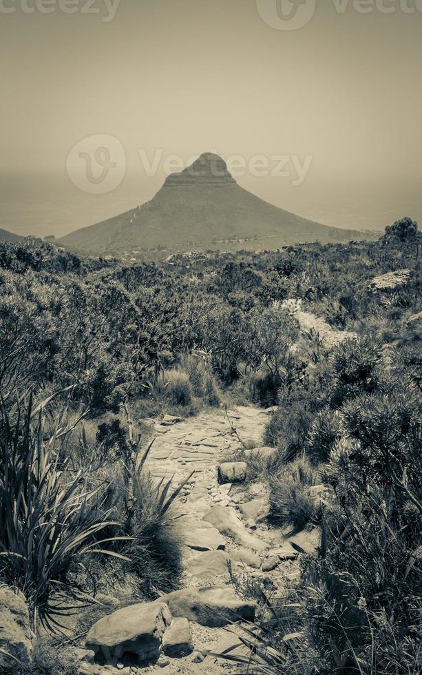 Trail to Lions Head Mountain Table Mountain National Park. photo