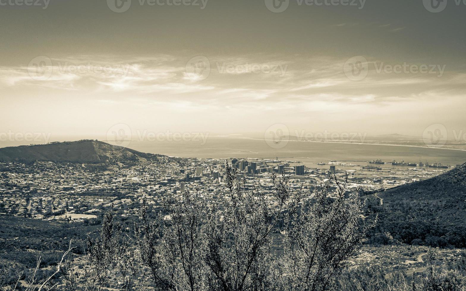 Ver detrás de los arbustos en el desierto Table Mountain Ciudad del Cabo. foto