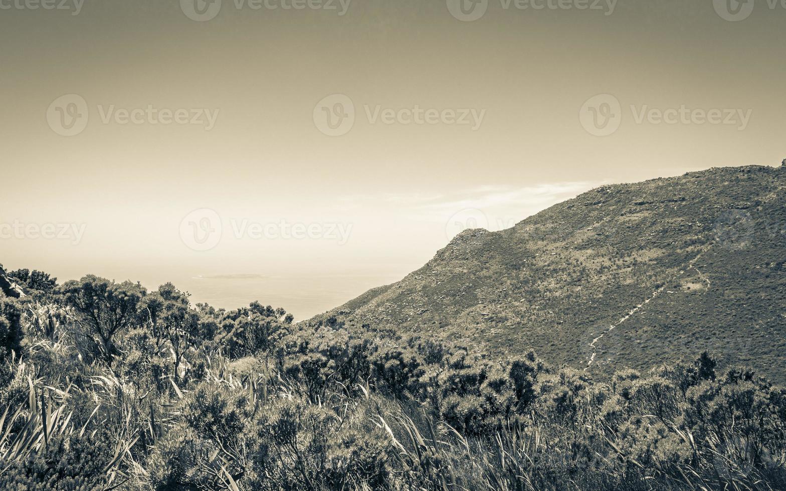 View from Table Mountain National Park Cape Town, South Africa. photo